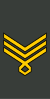 Georgia-Army-OR-9b.svg