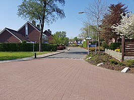 Het Hazeveld (straat) vanaf de hoek met de Wallerstraat.