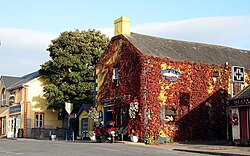 Castleconnell town centre