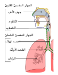 صورة مصغرة لـ عدوى الجهاز التنفسي العلوي