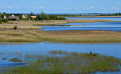 A Pszkovi-tó az észtországi Lüübnitsa falunál