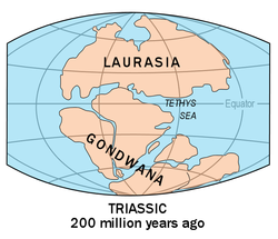 Evidence suggests that Australia was a part of the supercontinent Gondwana(land).