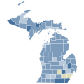 Michigan Civil Rights Initiative