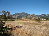 Mount Saint Helena