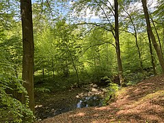 Leyerbach in der Nähe Leyermühle