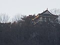 城山公園付近から眺める大峰城天守