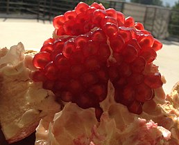 Fresh pomegranate seeds revealed through peeling