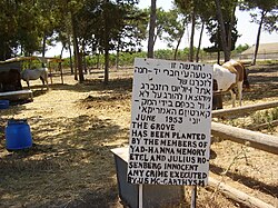 PikiWiki Israel 13643 Grove in memory of Julius and Ethel Rosenberg in K.jpg