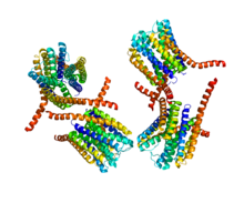 Protein LTC4S PDB 2PNO.png