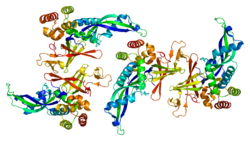 PDB rendering based on 2c35.