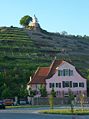 Haus Fliegenwedel vor dem gleichnamigen Weinberg, oben der Jacobstein