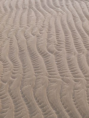 English: Ripples in the sand
