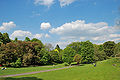 botanischer Garten Rombergpark