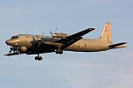 Il-38 (航空機)のサムネイル