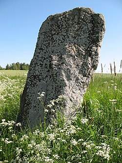 Runsten Sö 148, bland hundkäx och timotej.