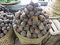 Buah salak S. zalacca 'Pondoh'