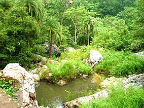 Сарисский тигровый заповедник, Alwar.jpg