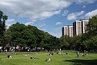 Shepherd's Bush Green