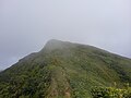 Vue du sommet du morne Carmichaël.