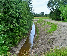 Storė prie Mikailiškių, šalia Deltuvos girininkijos