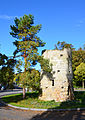 La tour Haldimand. Les arbres du second plan sont ceux du parc du Denantou.