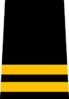 VFRS Battalion Chief.png