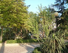 Parterre del Paseo de Chapí