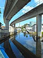 Creek under Metrorail pylons from NW 11th Street bridge (upriver)