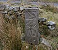 A Wyre Way waymark stone in Over Wyresdale