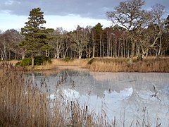 Margaret’s Loch