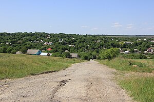 Вигляд на село Довжок