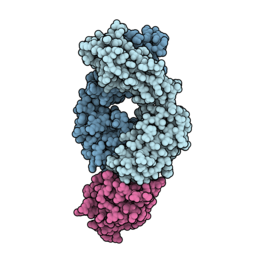 Modello a calotta del frammento di unione all'antigene (regione Fab) di una molecola di atezolizumab che ha stabilito un legame con la sua molecola target, la proteina 1 della morte cellulare programmata