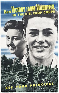 Recruitment poster for the Victory Farm Volunteers, 1943. Be a victory farm volunteer in the U.S. Crop Corps. See your principal. - DPLA - 02dd08ce2937f69d4b39ff660e05f6bd.jpg