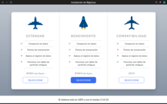 Captura de pantalla de los Tipos de Instalación en BigLinux 2022-07-15