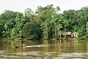 Indigenous in Amazon Rainforest.