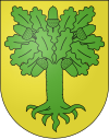 Wappen von Chanéaz