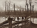 Erster Weltkrieg: Chateauwald bei Ypern, 1917