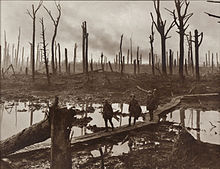 Soldiers walk across duckboards amidst a defoliated forest