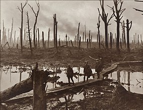 Na staré fotografie hnědé barvy přechází australští vojáci po dřevěném chodníčku v lesích Château bažinu, která vznikla po prudkých deštích; za nimi se nachází zničený, minomety zpustošený, les a polámané a sežehnuté stromy