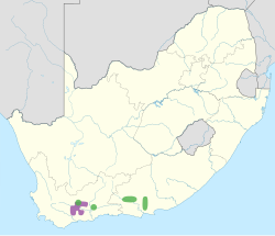 alt=Distribution of Cotyledon tomentosa in South Africa[1]​[2]​      subsp. tomentosa      subsp. ladismithiensis