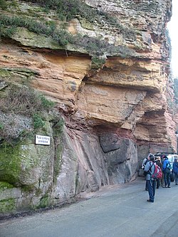 Crags below Knaresborough Castle. There is an unconformity between mid-Carboniferous sandstones at the road level and late Permian grits and limestones above. Crags below Knaresborough Castle - geograph.org.uk - 687691.jpg