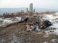 Verwesender Hundekadaver auf einem Friedhof in Ulaanbaatar