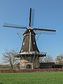 Windsmill: molen de Ster