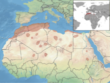 Gerbillus campestris distribution.png