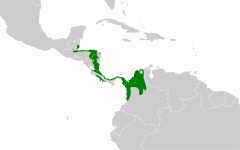 Distribución geográfica del hormiguero calvo.