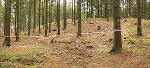 Harzhorn Ausgrabungsbereich.jpg