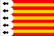 Vlag