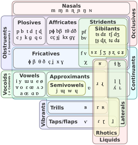 Relationship between manners of articulation and distinctive features, by Nardog