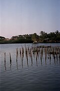 Laguna de Tampamachoco