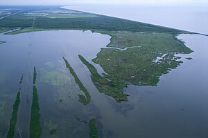 Aerial view of Louisiana wetlands